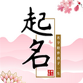 手机取名类app