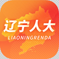 政务服务类app