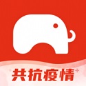 大象保险