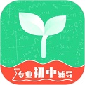 初中学习脑力训练 