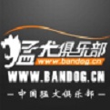 猛犬俱乐部