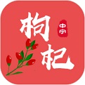 枸杞掌中宝 