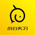小白实习 