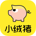 小绒猪 