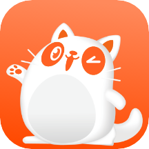 阿呆猫 