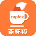 茶杯狐正版 