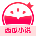 西瓜小说最新版 
