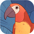 bird alone