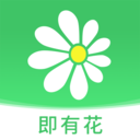 即有花 